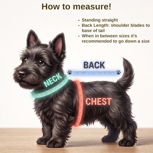 CoyoteVest SpikeVest Dog Harness, Made in the USA, S-Yellow | Stab-Resistant Protective Vest | Coyote Vest for Dogs | Defends Against Coyotes, Dogs, Birds of Prey | Reflective Safety - color: Yellow, size: Small
