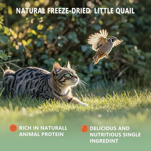 Freeze Dried Little Quail, 4.5 Oz Quail Dogs Cat Treats, Single Ingredient Freeze Dried Cat and Dog Treats Delicious Training Snacks, Natural Food Healthy Animal Protein Pet Food - size: 4.5 Ounce (Pack of 1)