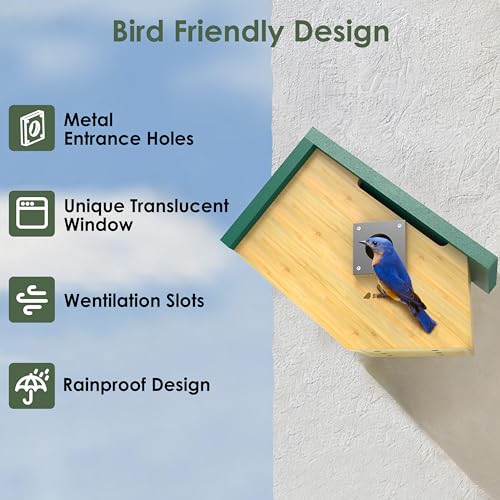 Smart Bird Houses for Outside Solar Powered, 1080P HD Live View Birdhouse with Camera, Perfect Viewing Bird Nesting and Hatching, Ideal Outdoors Bird House for Blue Bird and Cardinal (Green) - color: Green