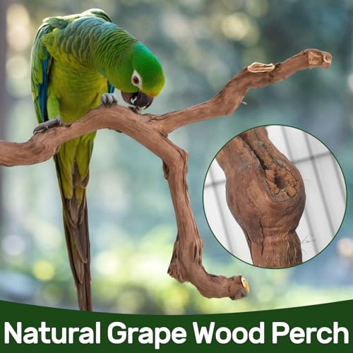 4-Piece Bird Perch Set with Rotating Ball Stand - Natural Wood Bird Gym & Playground for Parrots, Cockatiels, Budgies - size: 4Piece