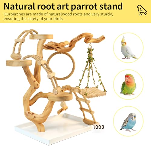 Natural Solid Wood Bird Perch Stand for Small & Medium Birds – Eco-Friendly, Sturdy Parrot Playstand with Hanging Toys & Rope Ring, Safe & Durable Bird Cage Accessory (WOOD-A1003) - color: WOOD-A1003