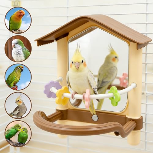 Bird Mirror for Cage, Acrylic Mirror with Plastic Perch and Chew Toys, Parakeet Cage Accessories, Bird Toys for Budgies, Cockatiels, Lovebirds, Green Cheeks, Small to Medium Birds