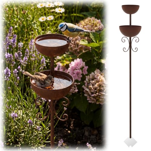 1 Pcs Vintage Metal Bird Bath Stakes for Garden, Decorative Outdoor Bird Bath Bowl Set, Rustic Rain Catcher Garden Art for Birds Butterflies Patio Lawn Flower Bed Decor (2-Tiered) - style: 2-tiered