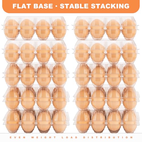 100 Pack Clear Plastic Egg Cartons, Reusable Stackable Egg Containers for Farm, Market & Fridge Storage, 3×4 Grid