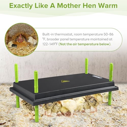 Tetuga Brooder Heat Plate 16 X 22” Chick Heating Plate Warm Up to 50 Chicks | Chicken Heater Plate with Adjustable Height & Angle, Energy-Efficient 50W Chick Warmer Safer Than Brooder Lamp - size: 16x22 Inch