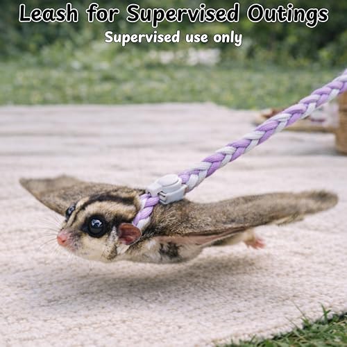 Sugar Glider Bonding Travel Pouch Set, Sugar Glider Carry Bonding Pouch With Liner And Adjustable Leash, Breathable Soft Outgoing Sleeping Travel Bag For Small Pets Squirrels Hamsters (Gray)
