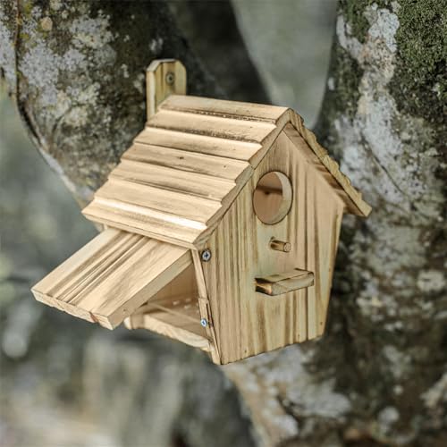 Bird Houses - Wooden Bird House for Outside with Pole - 1-1/2 Inch Entrance Hole for Bluebirds, Wrens, Chickadees, and Tree Swallows - Hanging Birdhouse for Garden