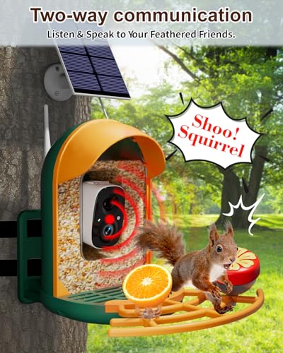 Smart Bird Feeder with Camera, Solar Powered, 2K HD, Night Vision | Watch birds in stunning 2K, receive app alerts, enjoy wireless setup, solar charging and reliable IP66 outdoor durability - color: Green, size: With Stand
