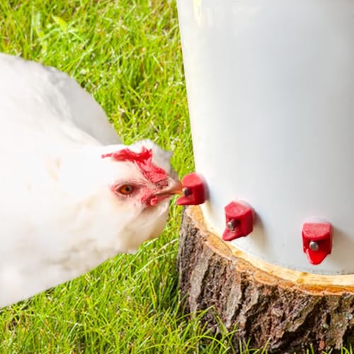 Horizontal Chicken Water Nipples Automatic Poultry Waterer Nipples Kit Drinker with Drill Bit(10)