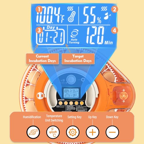26 Incubators for Hatching Eggs Smart Voice Control Incubator with Auto Temp Humidity Automatic Egg Turning 360° View Built in Egg Candler and Chick Holding Area for Chicken Duck Goose Quail Eggs