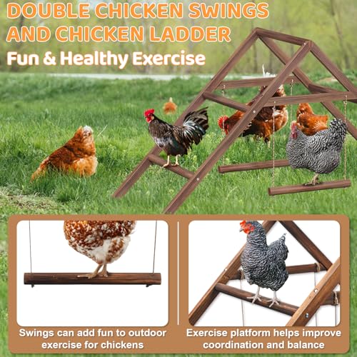 Pine Wood Chicken Perch with 2 Swings & Ladder, Multi-Level Chicken Roosting Bars for Backyard Coop, Roosting Bars for 10–12 Chickens, Easy to Assemble & Clean