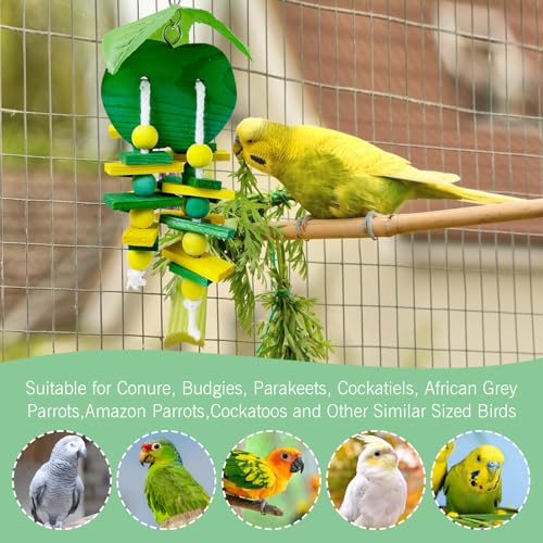 Hamiledyi Natural Wood Block Bird Cage Toys Parrot Chewing Toy Apple&Grape&Pear&Strawberry Shaped Hanging Foraging Toy for Small&Medium Birds Parakeets Cockatiels,4pcs - style: C
