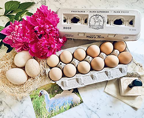 Egg Cartons- Adorable Printed Design for Farm Fresh Eggs, Recycled Paper Cardboard, Sturdy & Reusable, Holds up to XL Chicken Eggs (Blank Stamping, 90) - color: Blank Stamping, size: 90