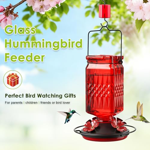 20oz Glass Hummingbird Feeder for Outdoors Hanging, Bird Nectar Feeder with 4 Bee Guard Flower-Shaped Feeding Ports & Built-in Ant Moat, for Bird Lover, Red (1 Pack) - color: Red 1 Pack