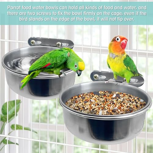 PINVNBY Stainless Steel Bird Bowl Parrot Food Water Bowls with Clamp Holder Bird Feeder Dish Cups Crate Bowls for Cockatiel Pigeons Conure Budgies African Greys (2PCS Screw Size: L)