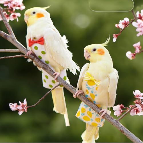 2 Pack Bird Diaper Parrot Nappy Bird Flight Suits Harness Cockatiel Diaper Small Birds Clothes for Parakeet Cockatiels Mini Macaw Budgie Canary Pigeon Conure Budgies Mini Macaws Small Size