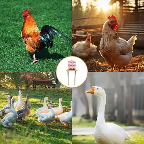 Chicken Coop Accessories, Beak Grinding Calcium Stone with Woodem Stake, Chicken Enrichment Toys, Chicken Coop Toys for Hens, Ducks, Geese, Turkeys, Poultry - color: Pink
