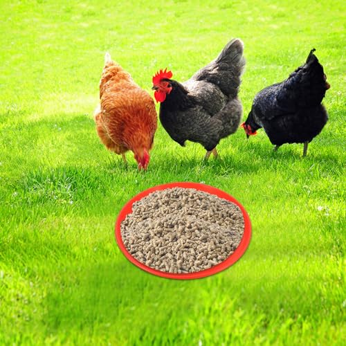 2 Pcs Poultry Feeding Tray and Water Feeder Plate Plastic Chick Feeder Pads for Chicken Coop Farm Use 310Mm Diameter Round Non-Toxic Plastic
