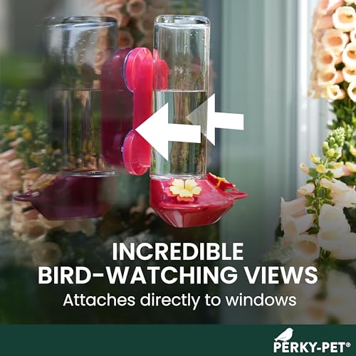 Perky-Pet Window-Mounted Glass Hummingbird Feeder - 14 fl oz Nectar Capacity - Entertaining Bird Watching - Glass Window Bird Feeder - 455-2 - Family Birdwatching - size: (Pack of 1)