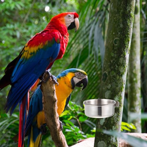Stainless Steel Bird Food Bowl Parrot Feed Cup with Brackets Bird Cage Feeder Cups for Parakeets Cockatiels Doves Pigeons Hanging Food and Water Dish 4-Pack 4.92 X 3.93 X 3.54 in - size: 4PCS