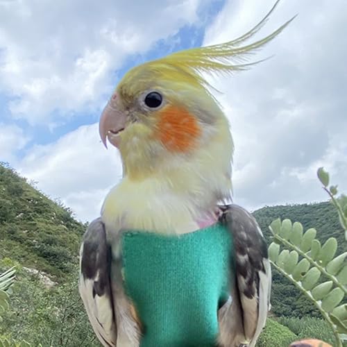 Pet Bird Diaper Harness Adjustable Parrot Harness and Leash Set Cockatiel Flight Suit with 60 Inch Leash Bow Tie Bird Flying Clothes for Conures Cockatoos Cockatiel Pigeon(Yellow, Medium) - color: Yellow, size: Medium