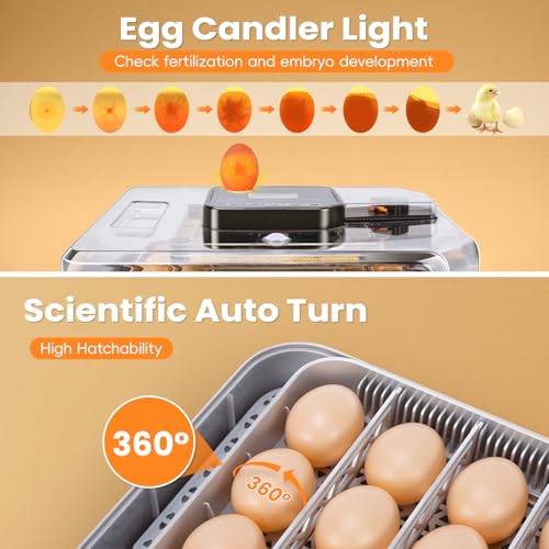 48 Incubators for Hatching Eggs, Egg Incubator with Automatic Egg Turning and Humidity Control, Temp Control, Egg Candler, Auto Water Refilling, Incubator for Chicken Eggs, Duck and Quail Eggs | Egg Candler, Egg Incubator for Chicken, Duck & Quail, Easy t