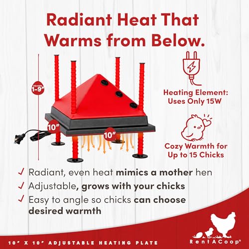 RentACoop 10x10” Adjustable Heating Plate with Foldable Anti-Roost Cone