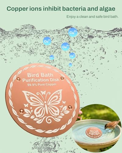 Bird Bath Purification Disc Pure Copper Outside Winter Solar Power Birdbath Humming Bee Water Fountain Window Feeder Stand Nectar Food Pole House Hanging Birdhouse Flowers Butterfly Accessories - color: Copper 1PCS Bird&1PCS Butterfly