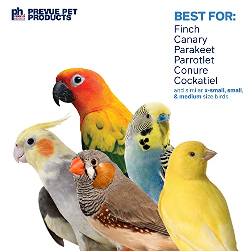 Prevue Pet Products Sound & Movement Mr. Mustache Bird Toy 62614 | Accessories for Parakeets, Conures, Cockatiels, Finches, and Small to Medium Birds