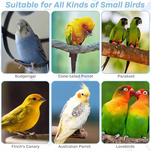 kathson Bird Bath for Cage Parakeet Bathing Tube for Budgie Conure Parakeet Finch Canary Cockatiel Parrot Lovebird (Random Color)