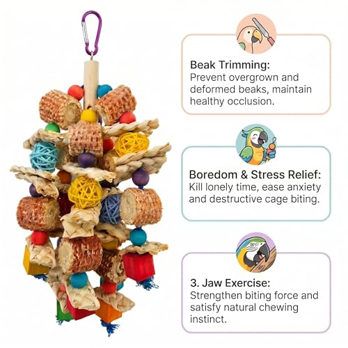 Parrot Chew Toys Bird Chew Toys Bird Toys with Natural Corn Cob for Small and Medium-Sized Macaws,African Grey,Cockatoos,Amazon Parrots,Parakeet,Cockatiel,Sun Conure, Lovebird - style: Style A