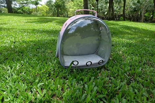 Small Animal Carrier Guinea Pig Backpack,Transparent, Breathable Backpack Carrier for Hedgehogs, Rabbits, Birds, Squirrels, Hamsters, Lizards Comfortable, Portable Travel Bag for Small Pets (Pink) - color: Pink