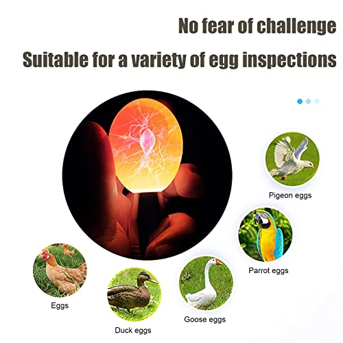 Egg Candler for Chicken Eggs, Rechargeable USB Egg Candling Light | High-Intensity Egg Candler Tester for Dark Eggs, All Chicken, Duck, and Quail - color: Dark Silver