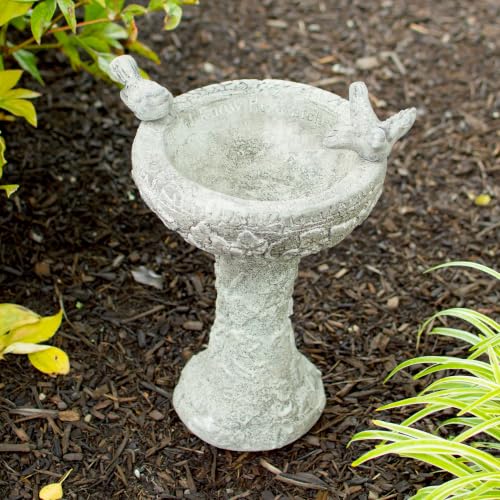 BestNest Athens His Eye is on The Sparrow Bird Bath, Pre Aged