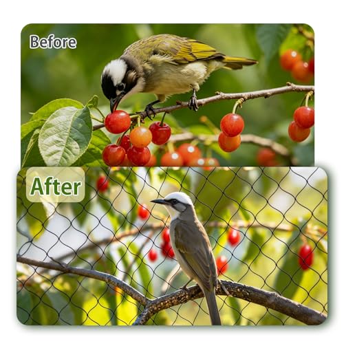 Jollybower Bird Netting 50'x50' Heavy Duty Nylon, 2.4" Square Mesh Poultry Chicken Coop Netting, Garden Netting for Fruit Trees Plants Against Hawks Wild Animals - size: 50'x50'-2.4"