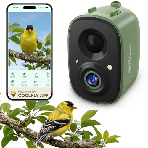 Smart Bird Camera Only, for Bird Feeder/Bath/House Bird Watching Live, 2.4G | Free AI Identify 10,000+ Species, Auto Capture 2.5K Bird Videos, Instant Alerts, Wireless Outdoor Cam, for Mom Dad Birdlovers