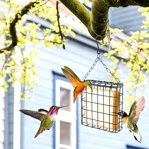 2-Pack Suet Feeder for Wild Birds, Hanging Bird Feeder Cage with Double-Latch, Heavy Duty Suet Holder for Cakes, Outside Suet Bird Feeder for Woodpeckers, Tits & Swallows
