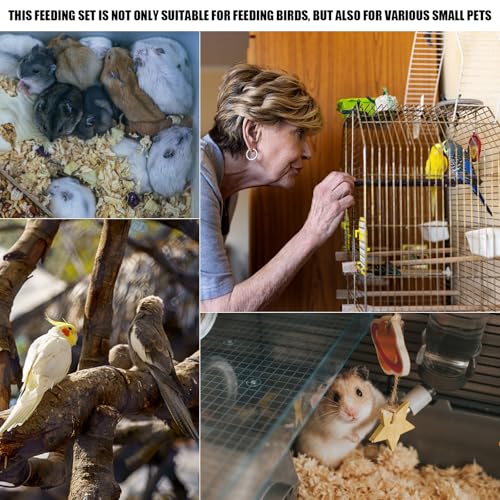 Baby Bird Feeding Syringe Kit,Hand Feeding Syringe for Birds,Pet Syringe Feeding Tool, Parrot Feeding Tubes Set for Small Baby Birds Pet Kittens (D) - color: D