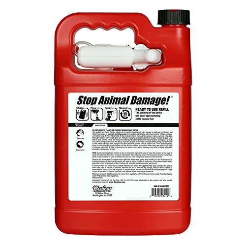 Squirrel Stopper Repellent Spray - Chipmunk & Squirrel Deterrent for Bird Feeders, Garden & Homes - Weather-Resistant Formula - Scent, Taste & Touch Barrier - Safe Around Kids & Pets - 1 Gallon - size: 128 Fl Oz (Pack of 1)