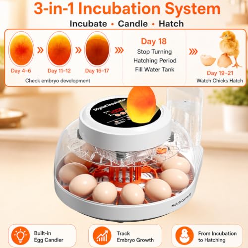 Upgraded Egg Incubator for Hatching Eggs, 12 Egg Capacity with Automatic Egg Turner, Temperature & Humidity Control, LED Egg Candler, Chick Incubator for Chicken, Duck & Quail Eggs - size: 12 EGGS