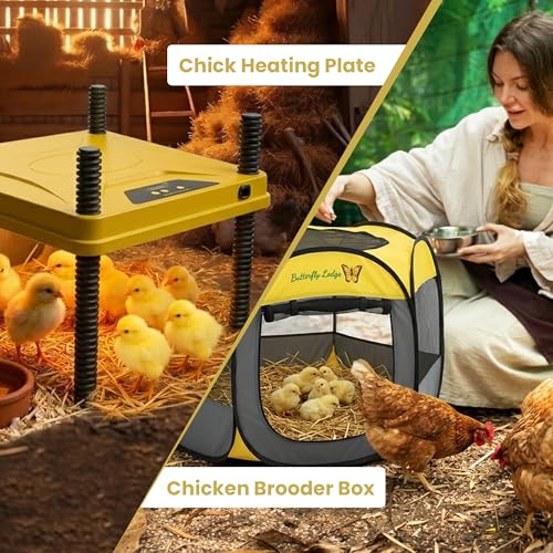 Chick Brooder Box and Heating Plate Starter Kit – Large Indoor Brooder Pen with 75W Adjustable Heat Plate, Feeder, Waterer & Cleaner – Complete All-in-One Chick Coop for 10-15 Chicks