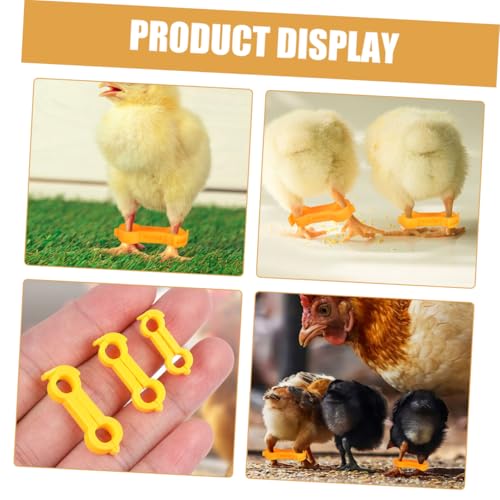 Toddmomy 15pcs Chick Leg Correction Bands PVC Splay Leg Fix for Chicks Quails Ducks Parrots Durable and Reusable for Poultry