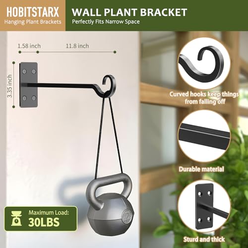 12" Wall Mount Plant Hanger 2 Pack | Hand-Forged Wrought Iron with Rust-Resistant | Black Finish | Ideal for Hanging Plants, Lanterns, Bird Feeders - size: 12 inches