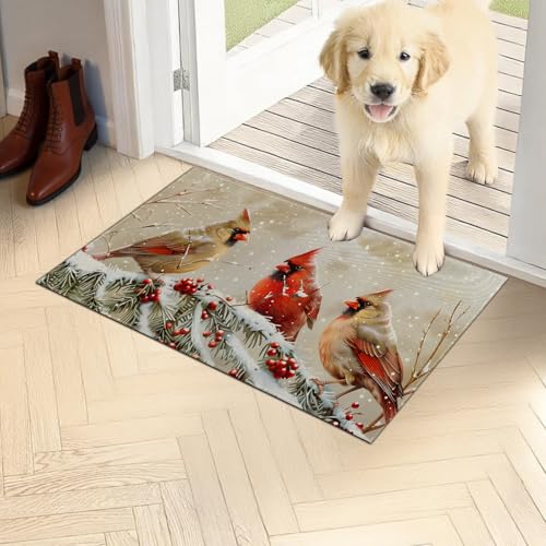 Cardinal Birds Doormat 17x29.5 Inch, Winter Snow Scene Indoor Door Mat, Red Cardinals Christmas Theme Non-Slip Welcome Rug Gifts for Living Room, Kitchen, Bedroom,Farmhouse Decor - color: Cardinal Birds