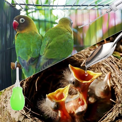 20ML Baby Bird Feeding Syringe Set Pet Syringe | With 6 Pcs Curved Gavage Feeding Tubes and Bird Drinker Stainless Steel Metal Feeding Spoon for Baby Birds Parrot Small Pet - size: 20ML