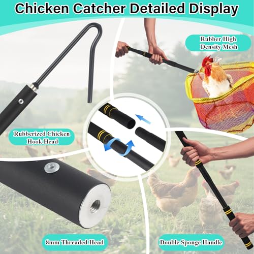 Chicken Catcher Net,30 to 75in Chicken Catcher Leg Hook Extra Long Handle Animal Catcher Pole Heavy Duty with Frosted Tube Extension Pole Poultry Hook Fowl Catcher (Black, 75in) - color: Black, size: 75"