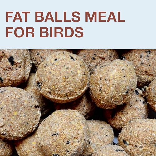 SWISSINNO Bird Feeders - No Mess Fat Ball/Suet Feeder for Outdoors Hanging - Smart Birds Lucerne Spill Proof Wild Cardinal Bird Feeder with Integrated Seed Catcher Tray - Light Blue - color: Light blue, style: Lucerne