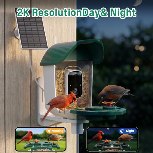 Bird Feeder with Camera Solar Powered, 2K HD Birds Feeder Camera for Outdoors, Instant Motion Detection & Alerts, AI Smart Identify Birds Species, Gifts for Mom Dad and Bird-Lovers(Green) - color: Green
