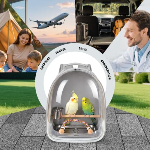 Bird Traval Carrier Cage, Multi Vent Holes Clear Space Capsule Astronaut Backpack to Carry Parakeet Cockatiel Parrot with Metal Tray Wood Perch, Vet Transport Book Bag - color: Grey