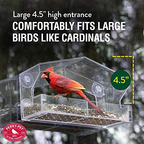 Perky-Pet Clear Outdoor Window Bird Feeder with Strong Suction Cups – 1 Lb Seed Capacity - Perky Pet 347 - Entertaining Bird Feeding - Great Gift Idea, Outdoor Decor - size: 1 LB Capacity